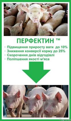 Перфектин ( Перфектін ) - экономия корма до 25% !