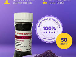 Будинок — сад — марганцівка