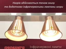 Підігрівач страв, лампа підігріву, тепловий міст