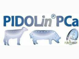 PIDOLin PCa Пидолин (підолат кальцію)