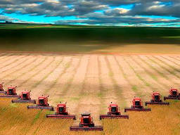 Підприємство бере в оренду комбайни, Полтавская обл.