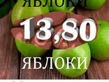 Підприємство у м. Бар закуповує яблука для виробництва натурального соку. НОВИЙ СЕЗОН 2025 - фото 1