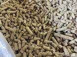 Пілети - фото 2