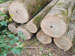 Пиломатериалы пиловочник