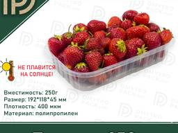 Пинетка 250г для фруктов, клубники, ягод 192х118х45мм (тара)