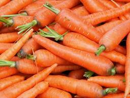 Пюре морквяне асептичне