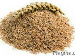 Закупляємо висівки пухнасті пшеничні . житні , зерновідходи.