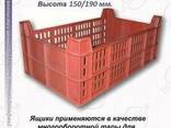Ящик для овощей и фруктов - фото 1
