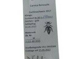 Плодные пчеломатки Карника Хорватка