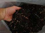 Почва для голубики Киев Грунт для посадки голубики продажа Киев. Торф кислый. - фото 3