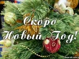 Подарки на Новый Год в Донецке