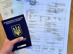 Подготовка документов для выезда животных за границу