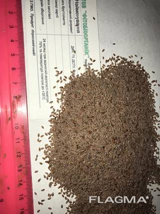 Подорожник овальний насіння (Psyllium ovata)