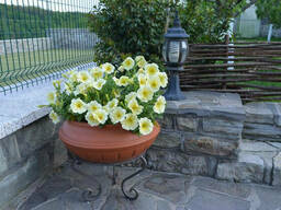 Подставка кованая GrunWelt 350