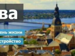 Поиск вакансий в Польше, Чехии и Литве