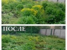 Покос скос травы деревьев