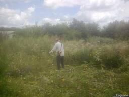 Покос травы, бурьяна