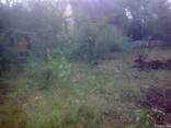Покос травы, бурьяна - фото 2