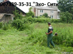 Уборка зарослей, вырубка кустарника Киев и обл.