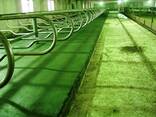 Покриття для місць утримання тварин. - фото 2