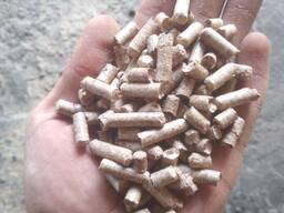 Покупаем древесные пеллеты