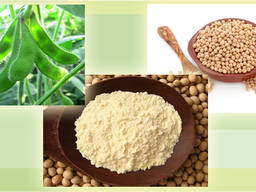 Полножировая ферментативная мягкая соевая мука