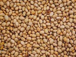 Половинки сої куплю