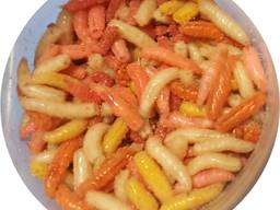 Польский Опарыш, Черви навозные