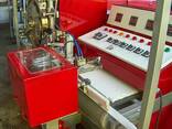 Напівавтоматичне обладнання для виробництва рафінаду TYO-40 C2P - фото 1