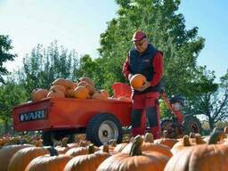 Полуприцеп самосвал ANV-400 Vari