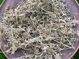 Полин, полинь, полынь