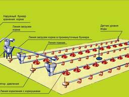 Поможем в реализации оборудования для птицеводства