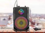 Акустика-караоке HOCO BS46 Mature outdoor BT speaker FM-приемник|Зарядка плеера/смартфона| - фото 2