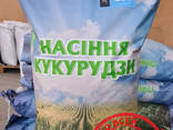 Посевные семена кукурузы, гибрид - Почаевський 190 МВ - фото 1