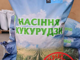 Посевные семена кукурузы, гибрид - Днепровский 257 СВ