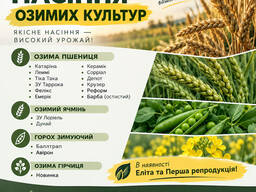 Посівний матеріал озимих культур: Еліта та Перша репродукція