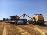 Послуги комбайнів по збиранню врожаю - фото 1