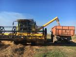 Послуги комбайнів по збиранню врожаю - фото 3