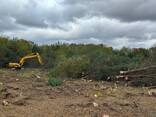 Послуги екскаватора з розліснення ділянок під с/г д-ть або будівництво - фото 1
