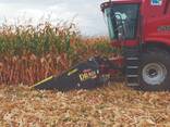 Послуги комбайну | Оренда комбайна з жаткою - Обмолот кукурудзи - фото 2