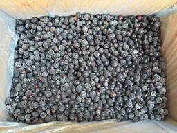 Послуги шокової заморозки IQF