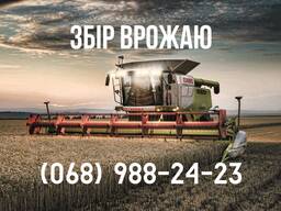 Послуги зі збору врожаю зернових та кукурудзи (Claas, John Deere)