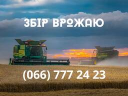 Послуги зі збору врожаю зернових, кукурудзи (Claas, John Deere)