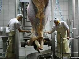 Поставка, сервис и ремонты оборудования убоя свиней и крс