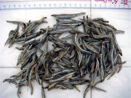 Поставка сушеного анчоуса от завода из Вьетнама