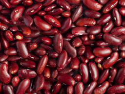 Сортова квасоля: Ліма, Мавка, Рубін, Бандоля, Неві, Пінто та ін