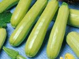 Постоянно в наличии кабачки Кавили. 3,0 грн/кг