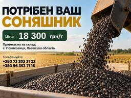 Потрібен ваш соняшник!