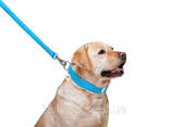 Поводок для собак кожаный Waudog Glamour Ш 25 мм Дл 122 см Голубой - фото 1