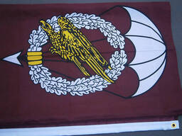 Прапор повітряно-десантні частини, Бундесвер, Німеччина.